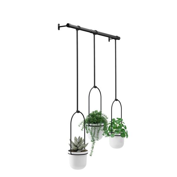 Shop Umbra Triflora Hanging Planters For Indoor Plants Or
