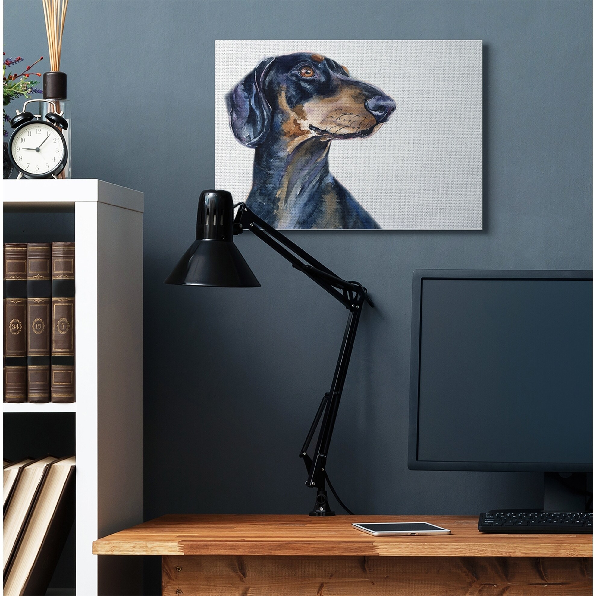 multi coloured dachshund