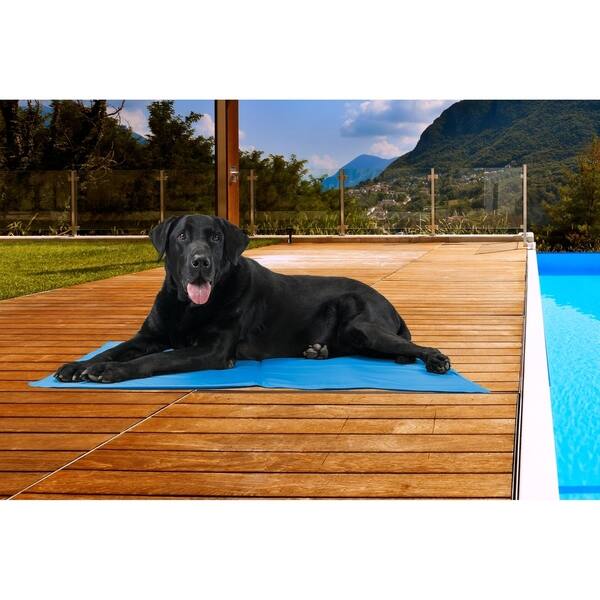 FurHaven Pet Cooling Pad | Pupicicle Cooling Gel Dog Mat Size Medium in  Blue (As Is Item) - Bed Bath u0026 Beyond - 28712784
