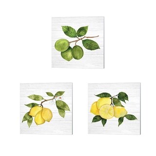 Kathleen Parr McKenna 'Citrus Garden Shiplap' Canvas Art (Set of 3 ...