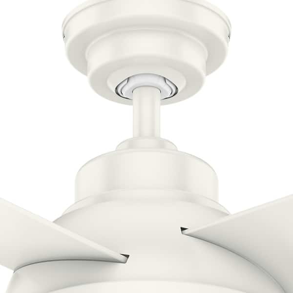 Shop Casablanca 54 Levitt Fresh White Indoor Ceiling Fan With