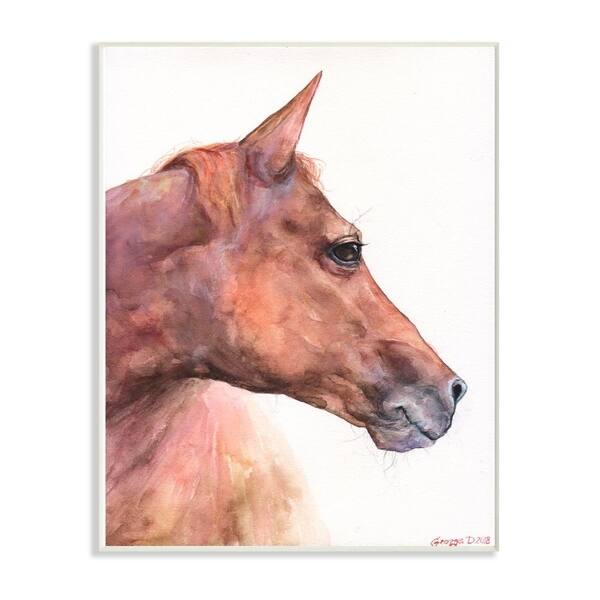 Shop Stupell Industries Horse Head Animal Watercolor Painting