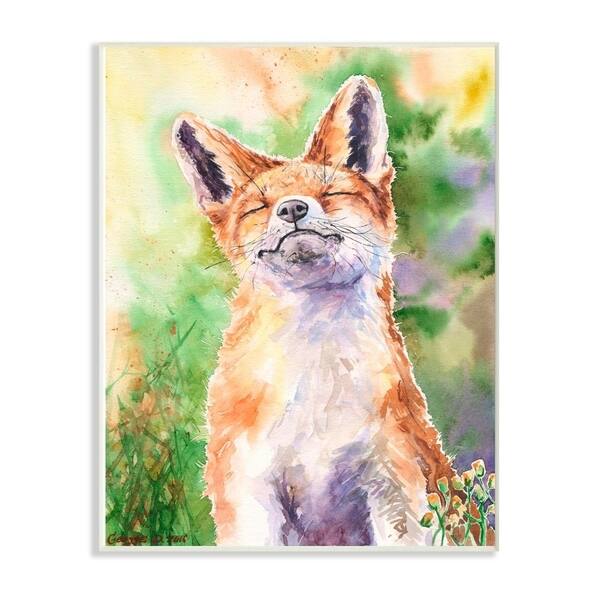 Shop Stupell Industries Fox Animal Orange Green Watercolor