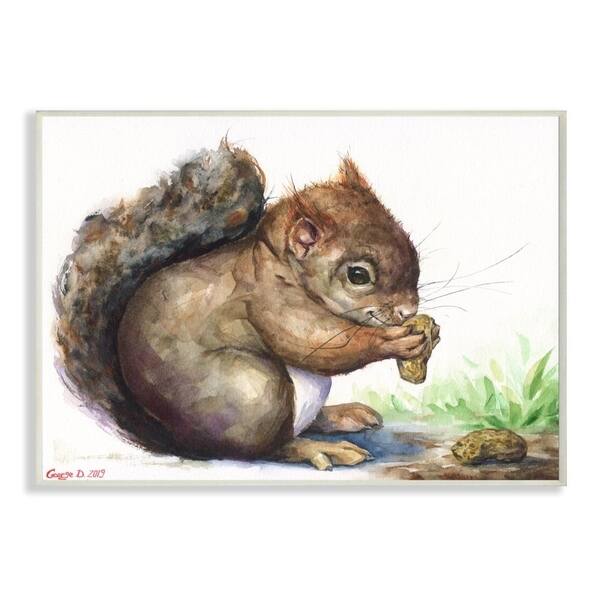 Shop Stupell Industries Cute Squirrel Animal Orange Green