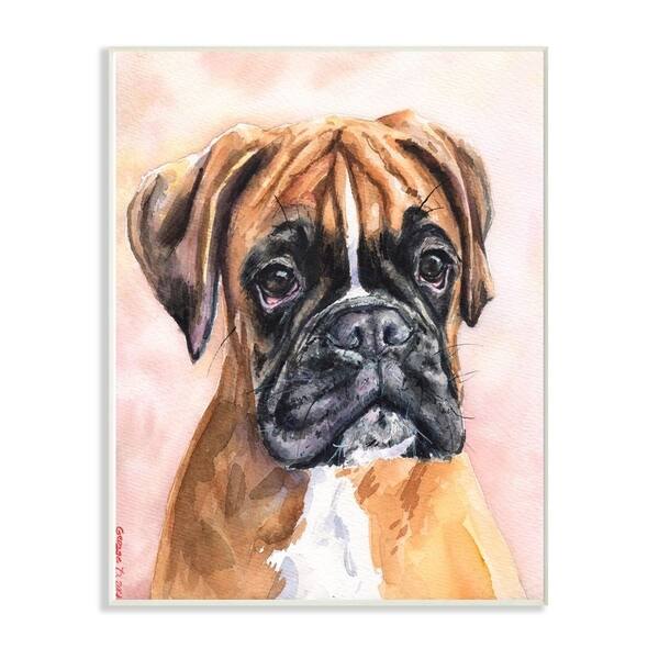 Shop Stupell Industries Cute Boxer Dog Pet Animal Watercolor