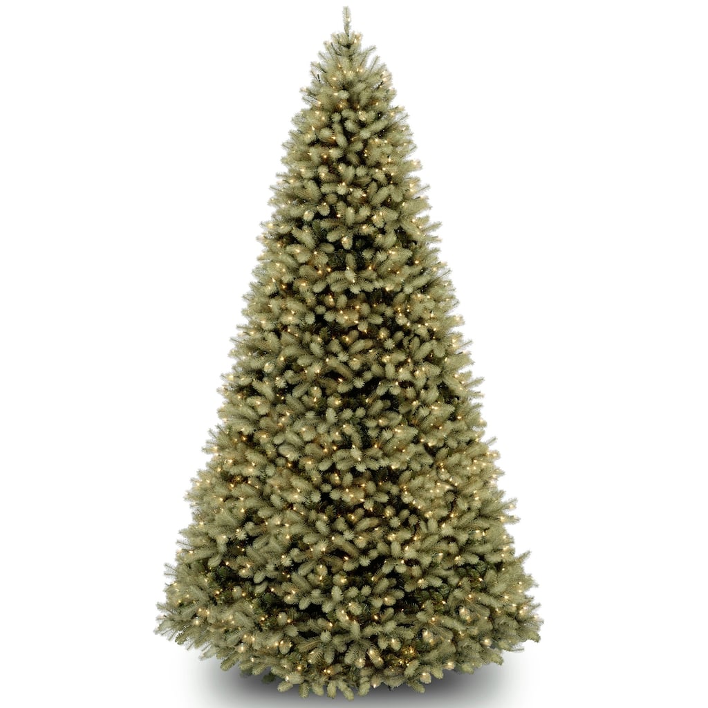National Tree Company 10 ft. Downswept Douglas Fir Tree with Dual Color LED Lights - 10 Foot