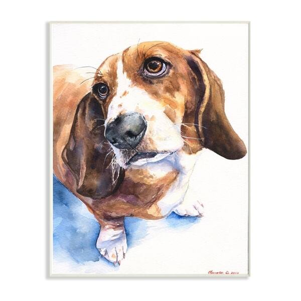 Shop Stupell Industries Cute Basset Hound Dog Pet Animal