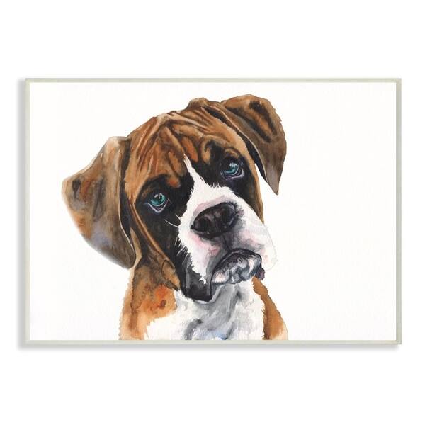 Shop Stupell Industries Blue Eye Boxer Dog Pet Animal Watercolor
