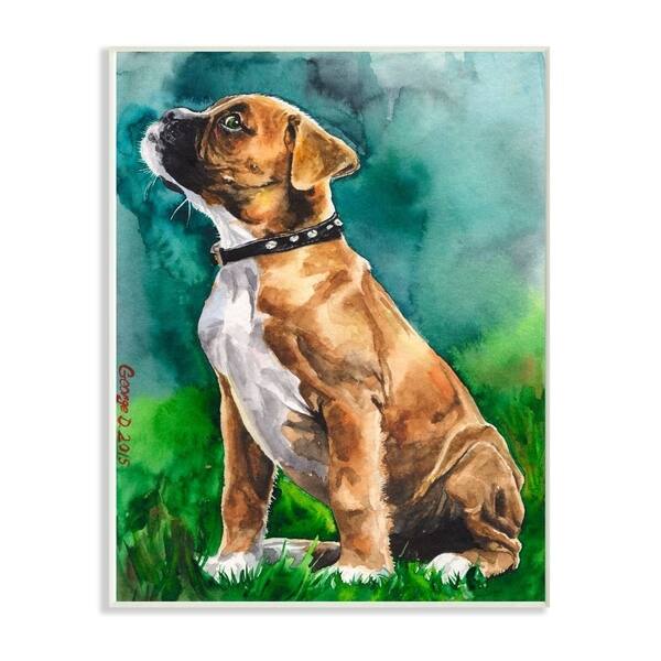Shop Stupell Industries Boxer Puppy Dog Pet Animal Watercolor