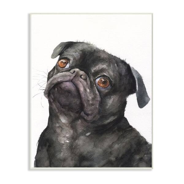 Shop Stupell Industries Cute Black Pug Dog Pet Animal Watercolor