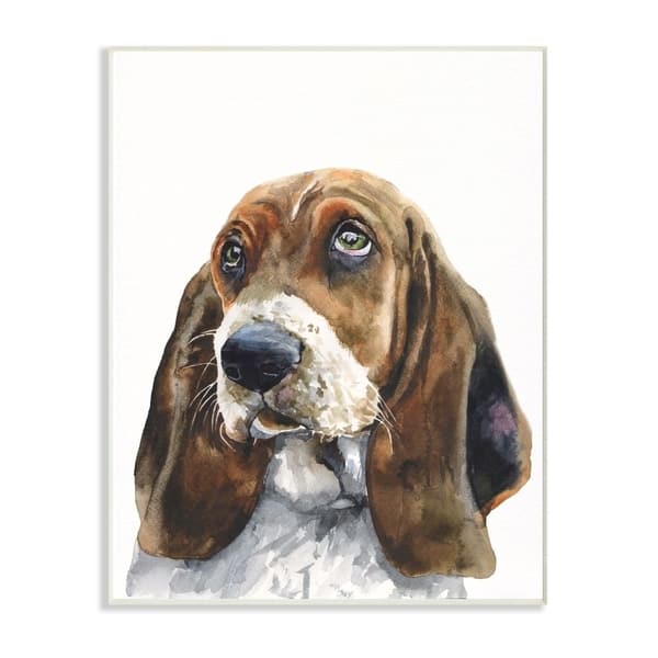 Shop Stupell Industries Basset Hound Dog Pet Animal Watercolor
