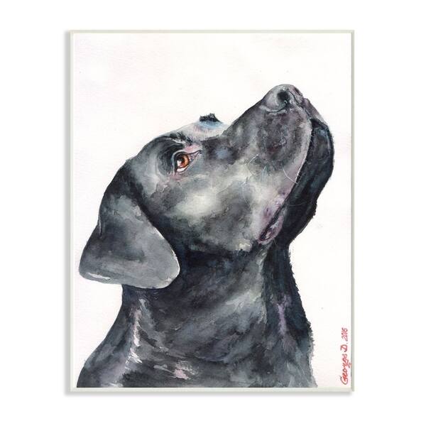 Shop Stupell Industries Black Labrador Dog Pet Animal Watercolor