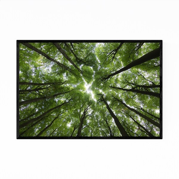 Noir Gallery Forest Woods Nature Landscape Framed Art Print