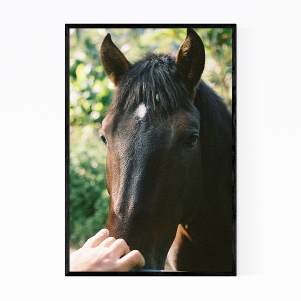 Noir Gallery Horse Animal Wildlife Hawaii Framed Art Print