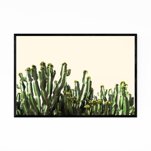 Noir Gallery Cactus Plant Floral Botanical Framed Art Print