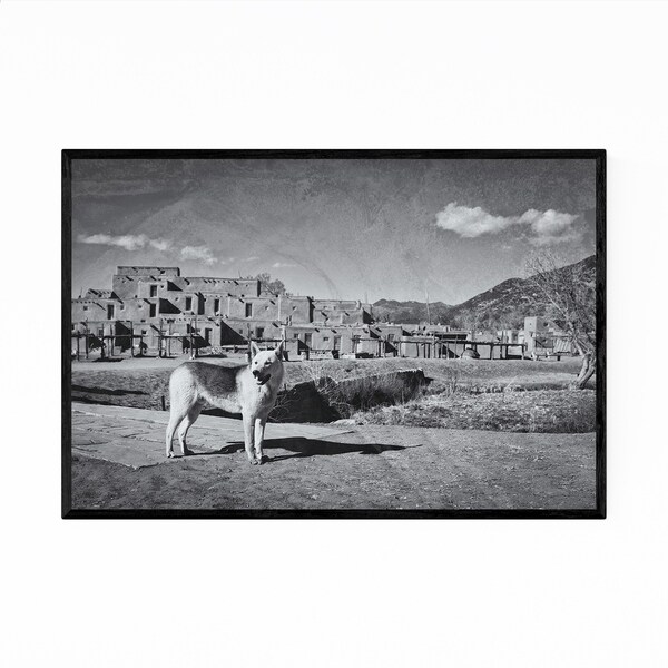 Noir Gallery Dog Animal Taos New Mexico Framed Art Print