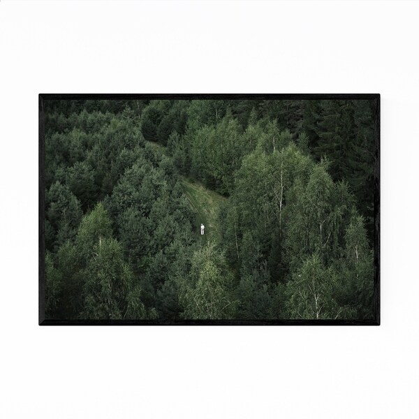 Noir Gallery Forest Aerial Landscape Nature Framed Art Print