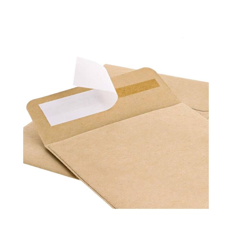 Paper Junkie 100 Pack Small Seed Saving Envelopes, Bulk Blank Paper Coin Packets 4.5x3.25