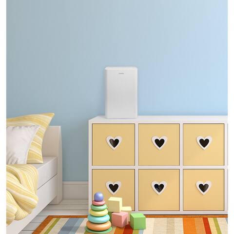 Danby 170 Sq. Ft. Air Purifier HEPA Filter and Ionzier