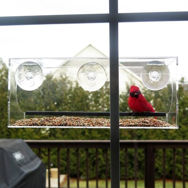 Shop Evelots Window Bird Feeder See Thru 12 Inch 3 Strong Suction