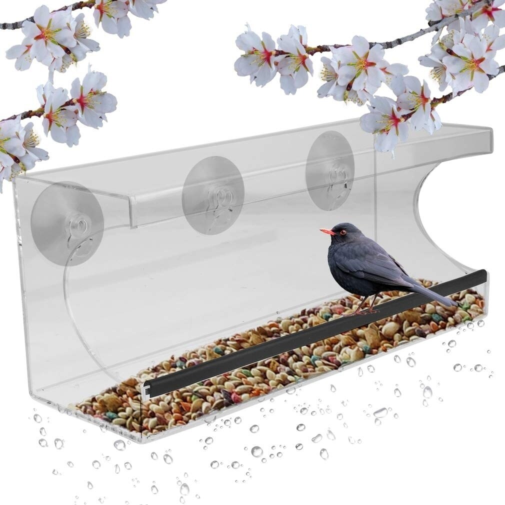 Shop Evelots Window Bird Feeder See Thru 12 Inch 3 Strong Suction