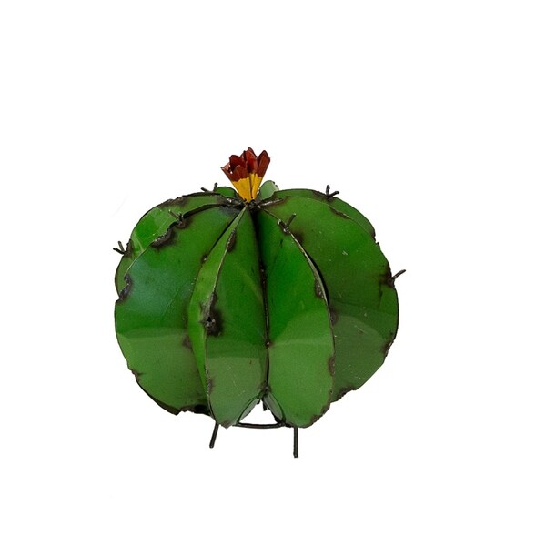 Barrel Cactus Garden Art, Multicolor