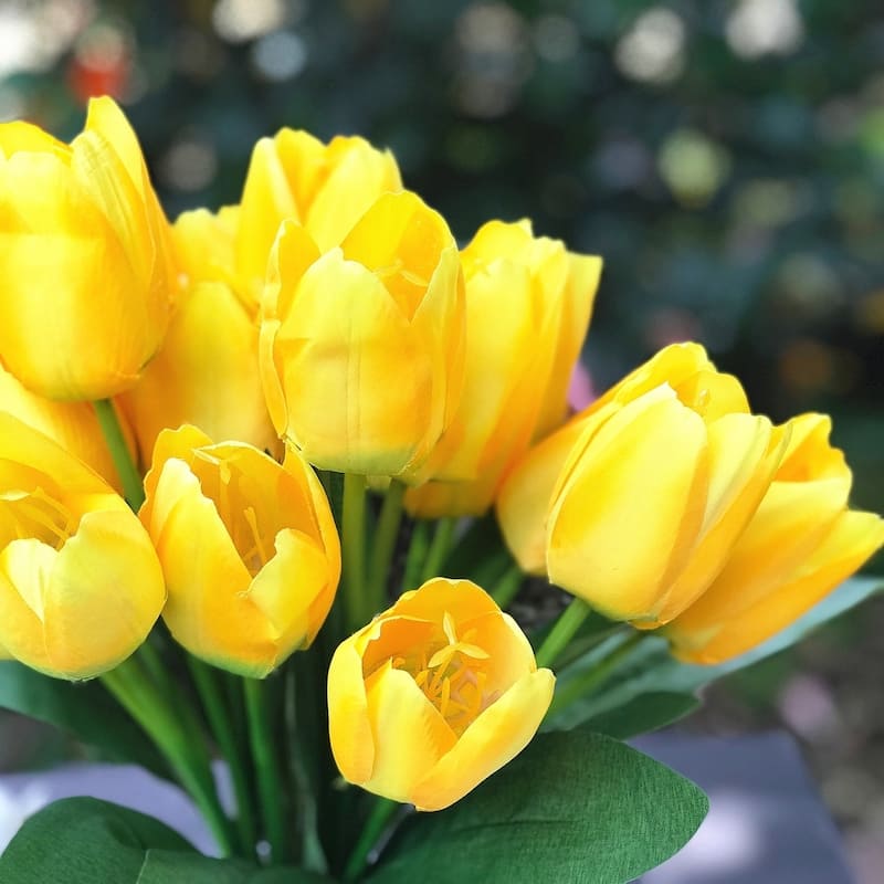 Enova Home Artificial 2 Bushes Yellow Silk Tulips Fake Flowers in Clear Glass Vase with Faux Water for Home Decoration