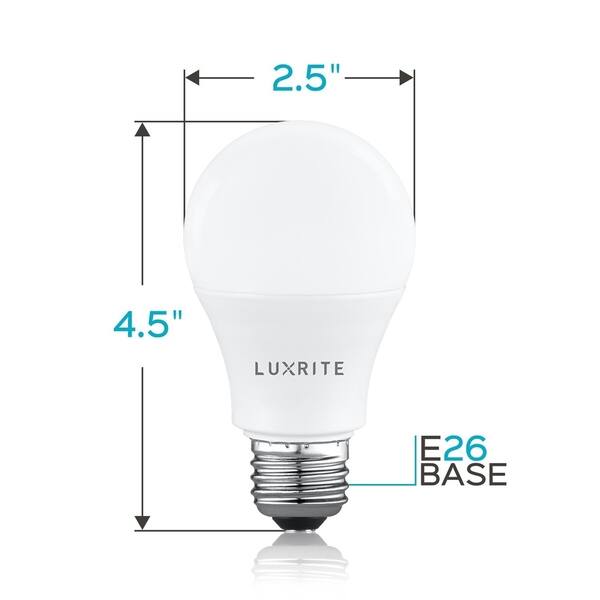 Shop Luxrite A19 Led Light Bulb 60w Equivalent Dimmable 800
