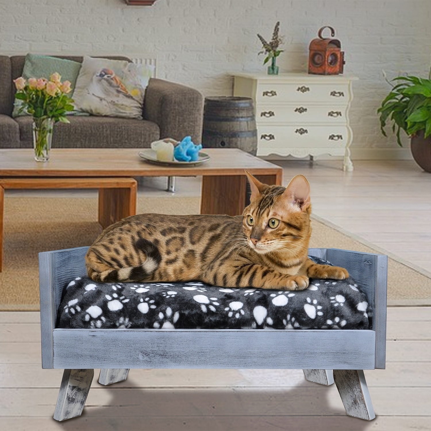 Iconic Pet Raised Wooden Pet Bed With Removable Cushion Antique Gray Small Overstock 28776274