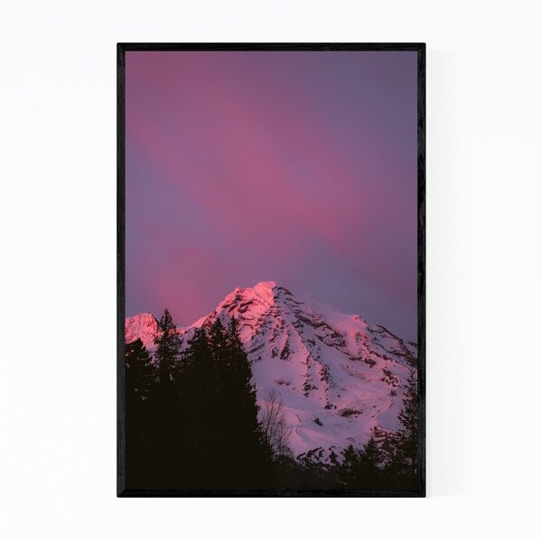 Noir Gallery Mt. Rainier Washington Nature Framed Art Print