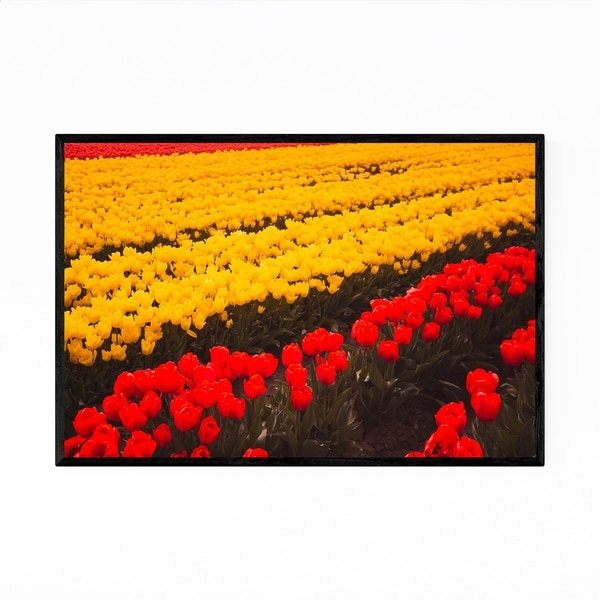 Noir Gallery Tulips Skagit Valley Washington Framed Art Print