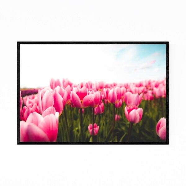 Noir Gallery Tulips Floral Botanical Photography Framed Art Print