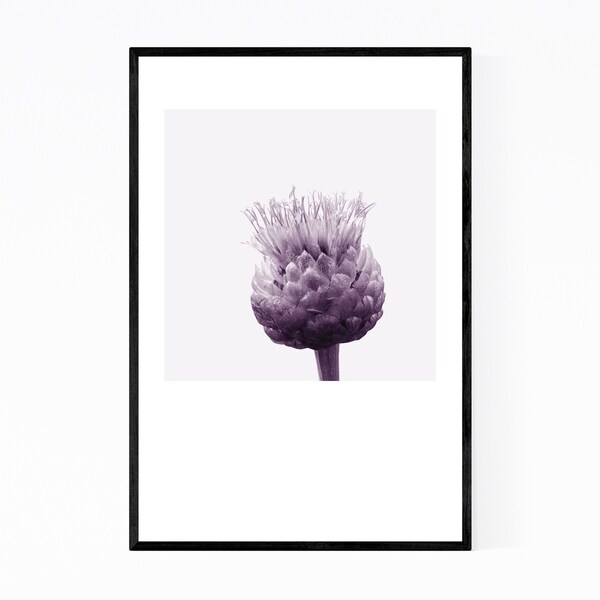 Noir Gallery Minimal Centaurea Floral Monochrome Framed Art Print