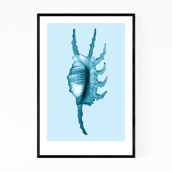 Noir Gallery Minimal Spider Conch Seashell Framed Art Print
