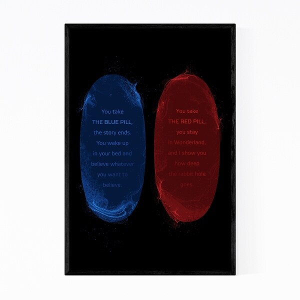Noir Gallery Red Pill Blue Pill The Matrix Framed Art Print