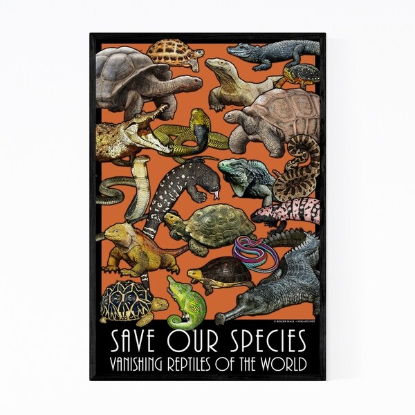 Noir Gallery Endangered Reptiles Animals Framed Art Print
