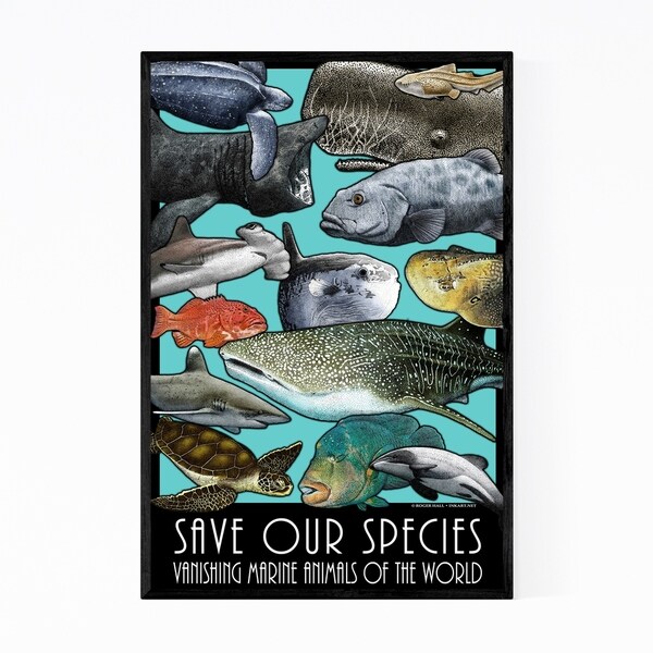 Noir Gallery Endangered Ocean Animals Framed Art Print
