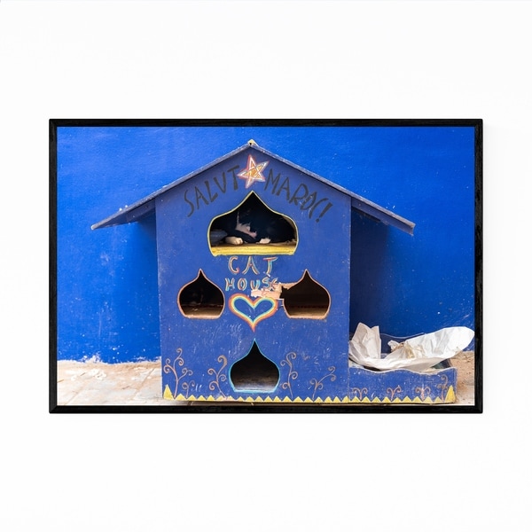 Noir Gallery Cats Morocco Blue Photography Framed Art Print