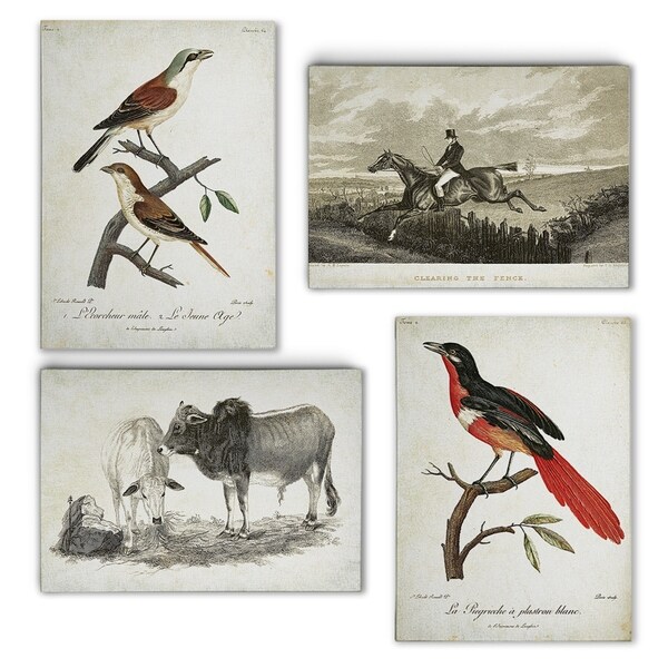 Classic Sketch and Prints I -Gallery Wrapped Canvas Set