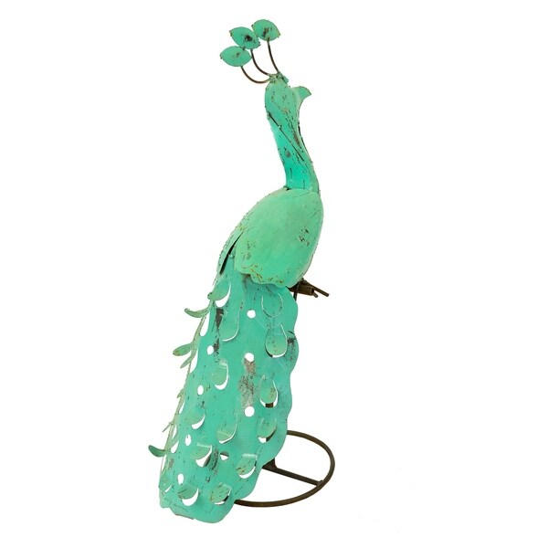 Peacock - Small - N/A