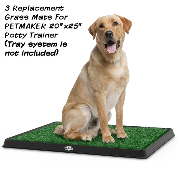 puppy potty training tray