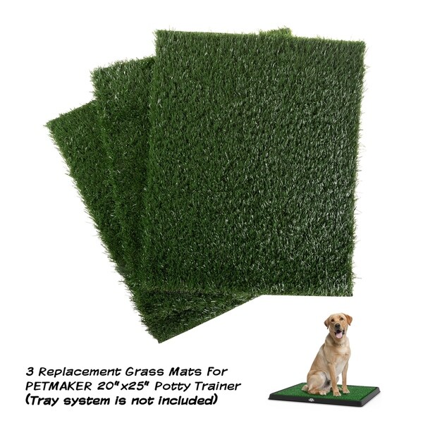 puppy turf