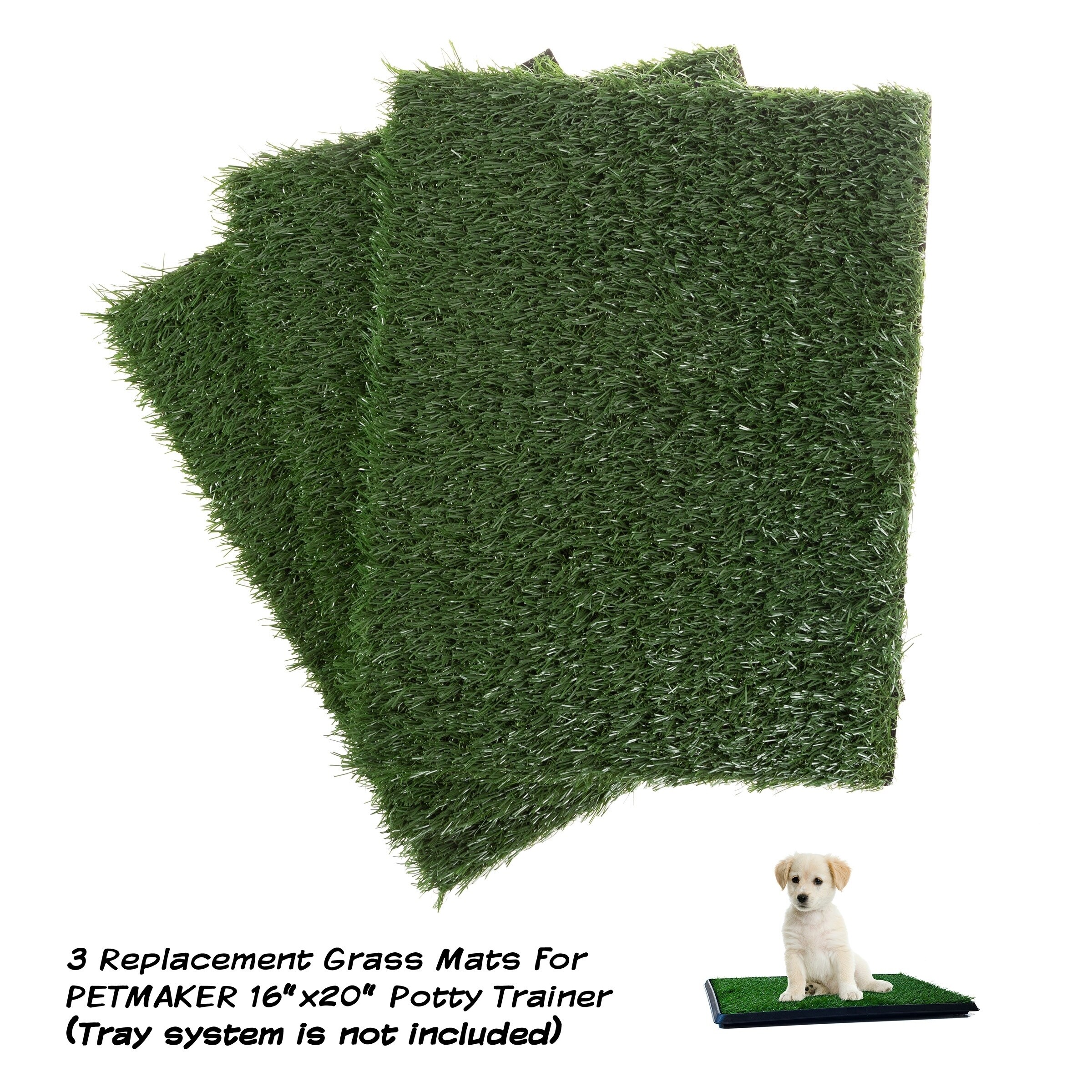 tinkle turf replacement grass
