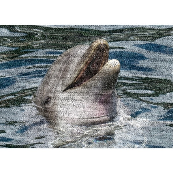 dolphin 5.0 memory card