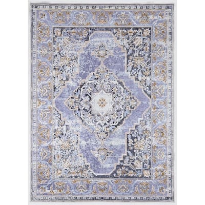 Porch & Den Toelle Distressed Medallion Pattern Area Rug