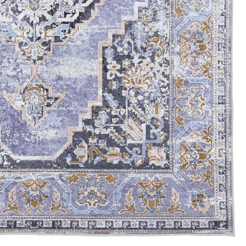 Porch & Den Toelle Distressed Medallion Pattern Area Rug