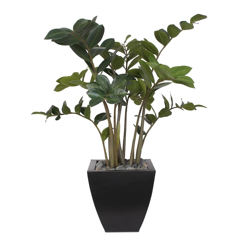 37"H ZZ Plant with Black Pebbles in a Modern Black Zinc Pot