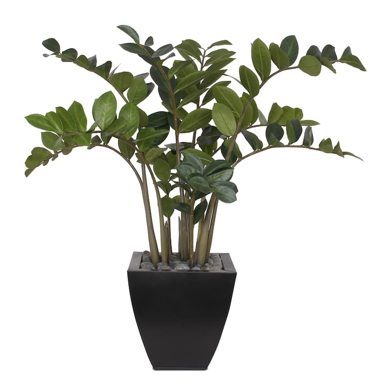 37"H ZZ Plant with Black Pebbles in a Modern Black Zinc Pot