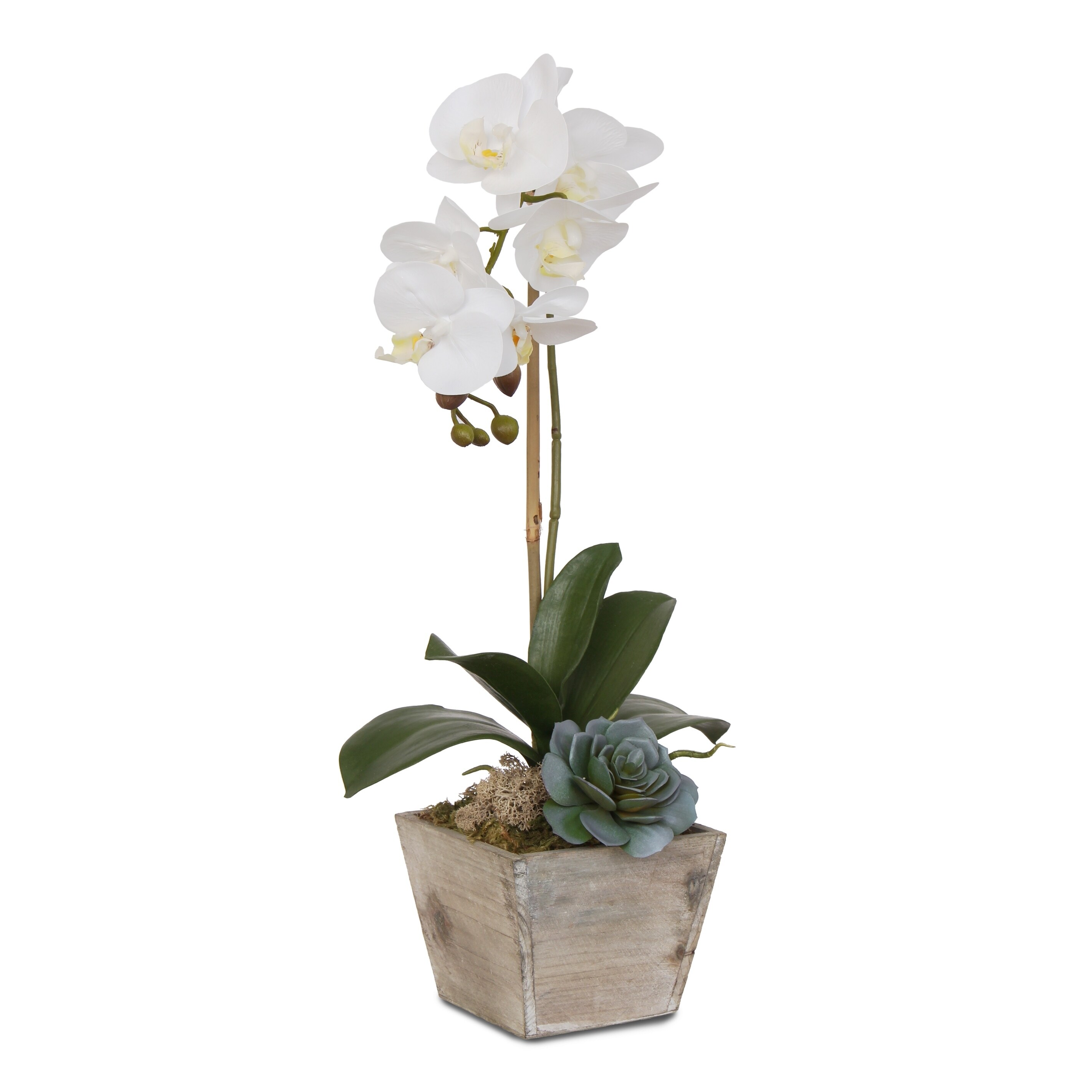 Shop Real Touch White Orchid In A Coastal Washed Wooden Pot Overstock