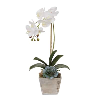 Real Touch White Orchid in a Coastal Washed Wooden Pot